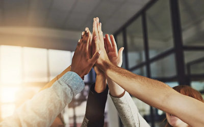 Part 2: Building Your Internal eCommerce Ownership Team